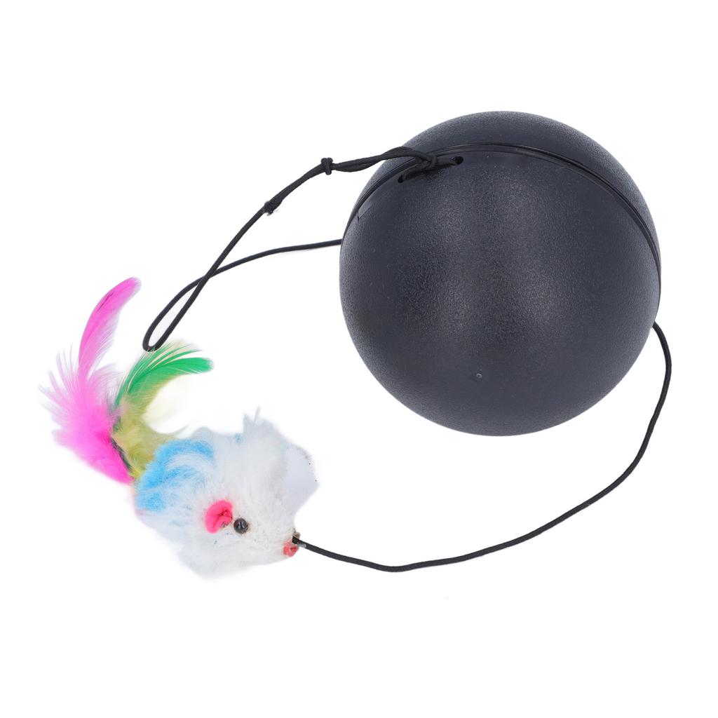 Interaktives Katzenspielzeug Automatischer intelligenter Rollball Langeweile lindern Bissfestigkeit Selbst