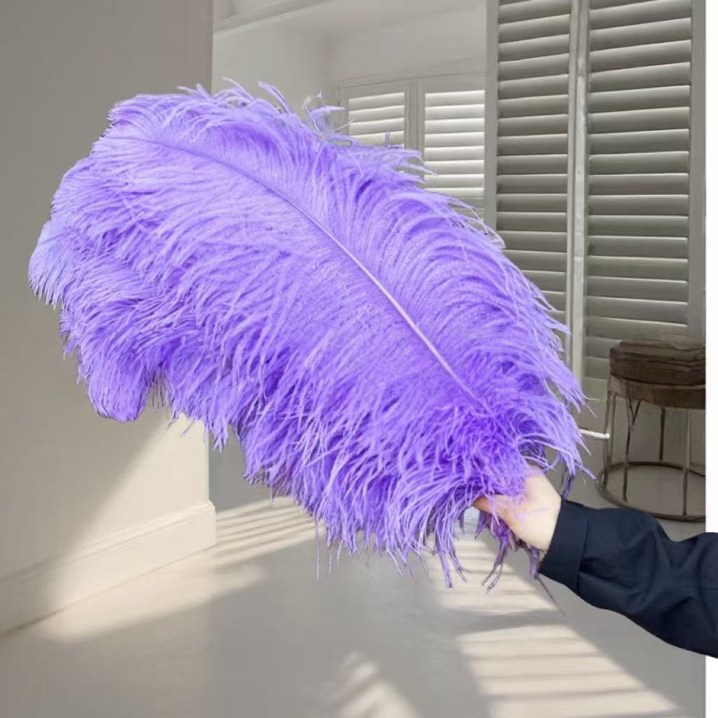 1pcs Ostrich Hair 65-70Cm Photo Feather Wall Wedding Road Guide Decorative Props Colored Feathers