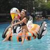 Swan and Flamingo Inflatable Float Mat for Adults: Perfect for Sea Sports & Water Play