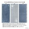 Towel Laboratory Disney Character #023 Face 3-piece Set Soft Fast Absorbent 100 Cotton Low Lint Shedding Gift Japan Technology