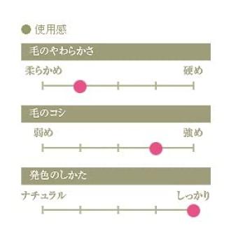 Kumano Brush Chikuhodo Regular Series Eyeshadow Brush Pensula de machiaj Itachi Black Line (Pensula de machiaj) R-S9