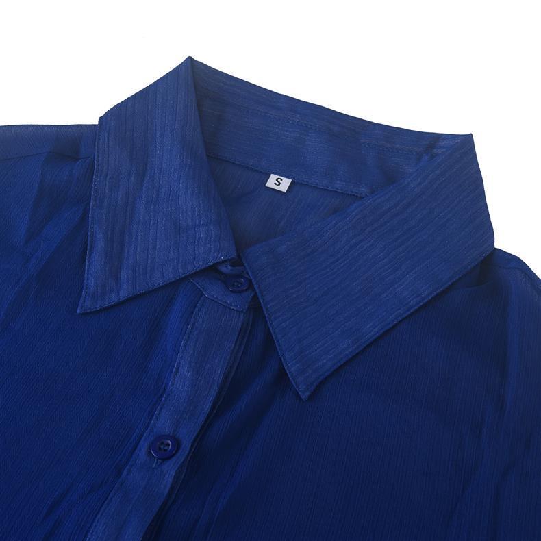 Women's Solid Color Sheer Chiffon Shirt - Sexy, Single-breasted, Long Sleeve, Loose Fit with Lapel and Split Design
