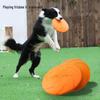 Crazy Master Interactive Dog Toys