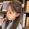 Sweet Cool Spice Girl Rhinestone Hairpin Acetate Small Top Clip Bangs Shark Clip Small Catch Clip Hair Catch Headgear Female