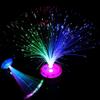 Stunning Christmas Color Changing Led Fiber Optic Night Light For Home Decoration