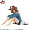 Uma Musume: Pretty Derby Beginning of a New Era Agnes Tachyon Relax Time Figure