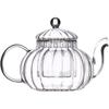 DOITOOL Glass Teapot with Infuser, Stovetop Safe Tea Kettle, Blooming and Loose Leaf Tea Maker