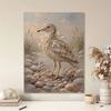 Stretched Frame Pearl Art Kit Seagull and Stone Pattern DIY Sparkling Bead Canvas Creative Leisure Craft for Home Decoration