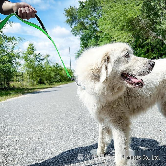 Double Layer Explosion-Proof Reflective Dog Leash - Shock-Absorbing, Thickened Pet Leash