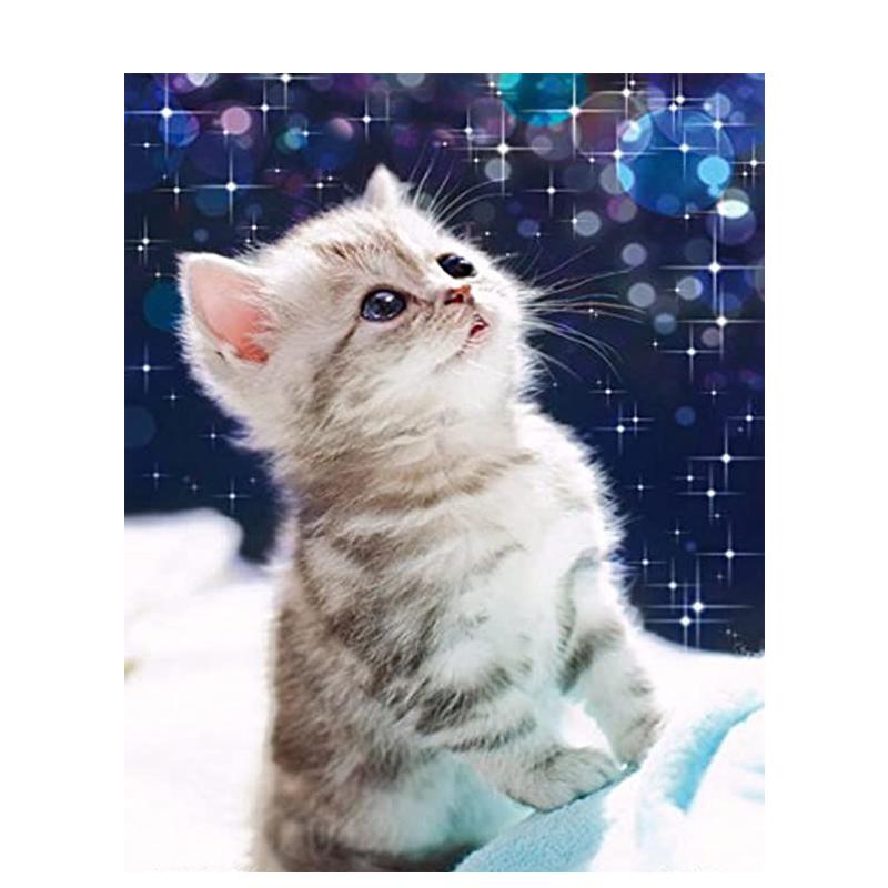 5D Diy Diamond Embroidery Animal Full Round Diamond Painting Cat Diamond Mosaic Cross Stitch Handmade Gift