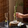 Transparent Slim Glass Vase for Living Room Decoration