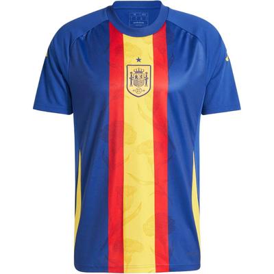Spain Euro Cup Training Colorblock Crew Neck Short Sleeve Soccer Jersey Men Tops Victory-Blue IW7891