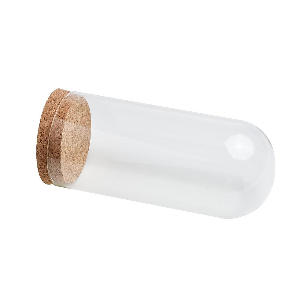 Glasdomabdeckung für Blume Sukkulenten Pflanzen DIY Staubdichte Abdeckungen Hülle Transparente Flasche Glasvase Desktop Heimdeko Zubehör