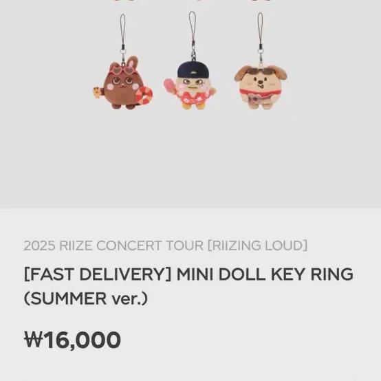 

RIIZE Восходящий Громкий Концерт Кукла Мини Брелок - Торбён Сохи