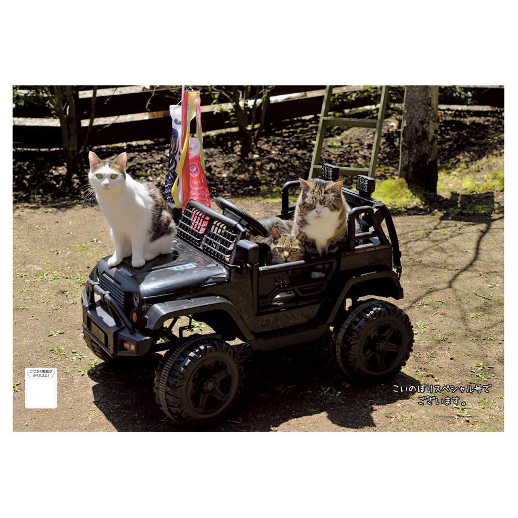 2025 Maruchan Calendar No.041