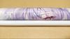 [USED] rurudo Art Book UNREAL Limited Bonus Not for Sale Tapestry Eve