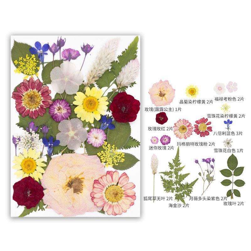 

22-25PCS Set Mixed Style Dried Pressed Flower Leaves for Resin Mold Natural Real Dried Flower Scrapbooking Nail Art Decoration