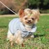 Casaco Puffy Leve Macio Quente para Cães Pequenos Roupas para Cães Pequenos Casaco de Inverno Aconchegante para Yorkshire Chihuahua Roupa de Filhote