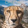 Cheetah Calendar 2027: Experience the Speed, Beauty, and Power of the World's Fastest Land Animal