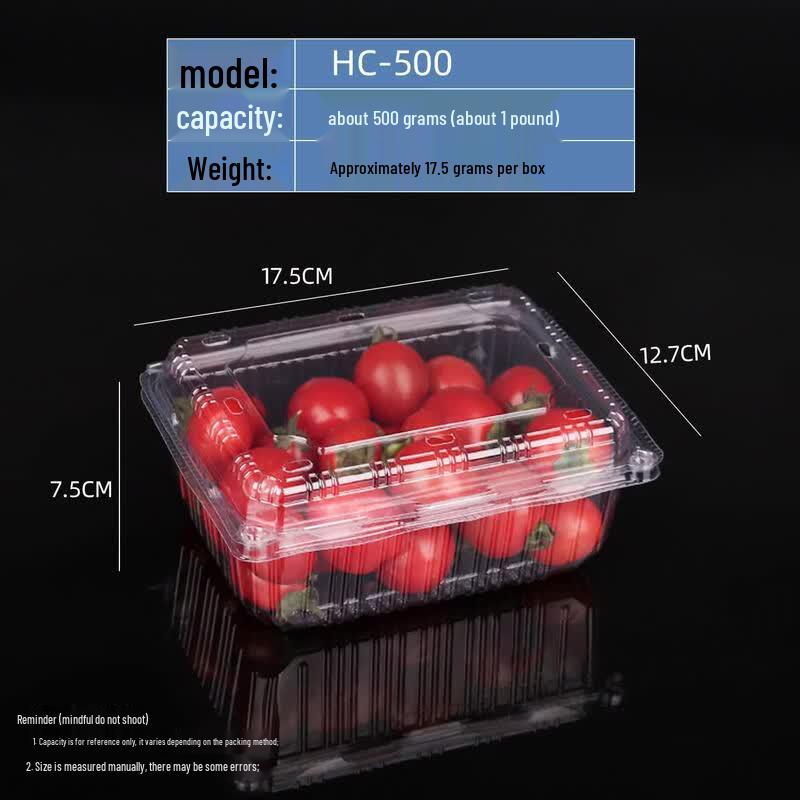 Disposable Clear Plastic Food Container with Lid