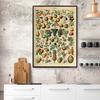 Antique Botanical Print Flowers Fruit Mushrooms Posters Vintage French Educational Wall Art Canvas Painting Pictures Home Decor
