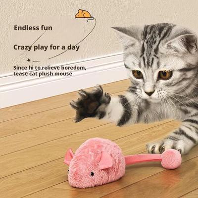 Kedi – Kedi Oyuncakları