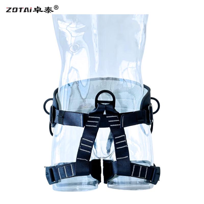 TANERDD Half-Body Climbing & Rappelling Safety Harness