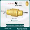 Bathroom Toilet Anti-Backflow Check Valve for Water Pipes