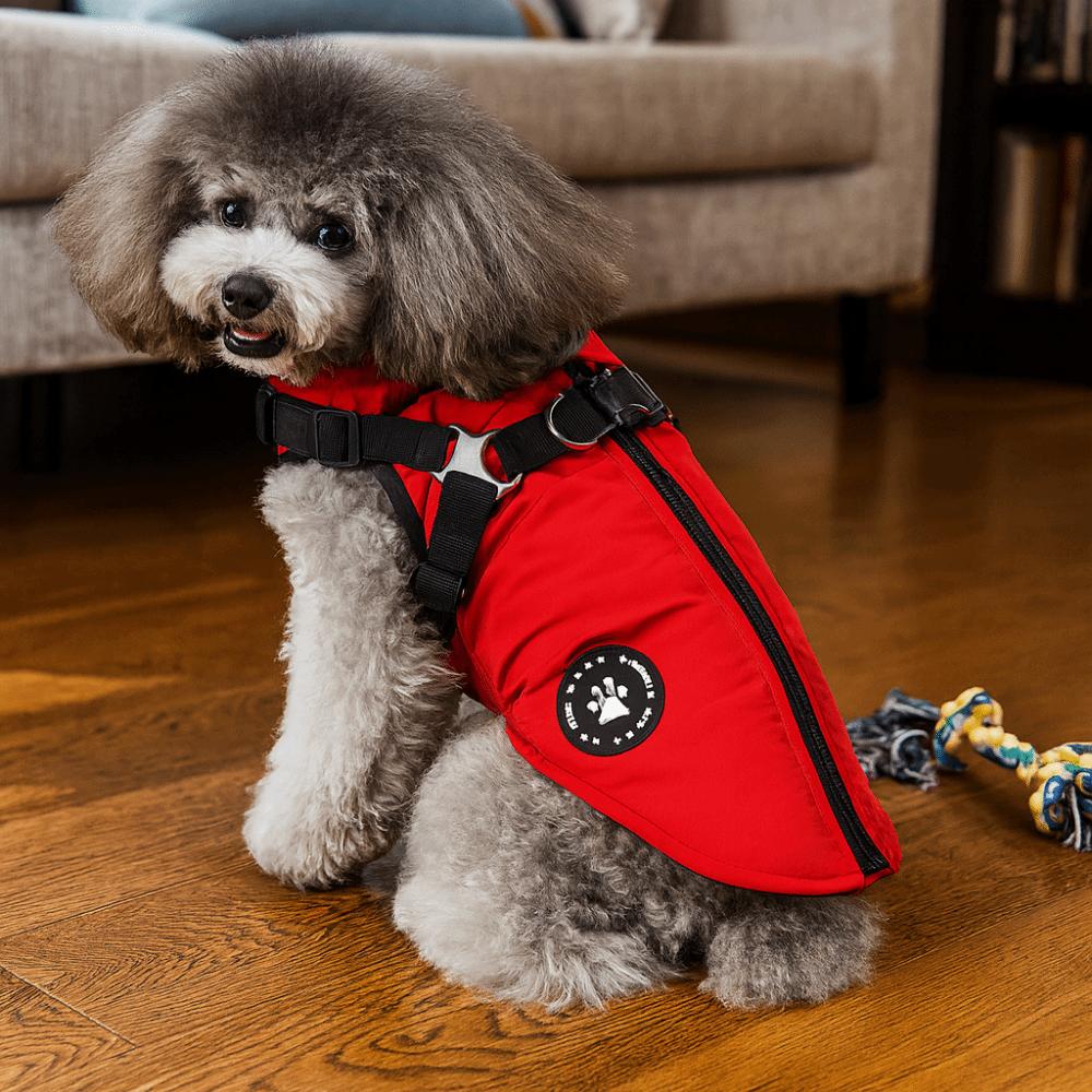 Puppy Outfit Adjustable Dogs Down Clothes Warm Windproof Dog Coat with Harness Thicken Winter Dog Clothes Winter