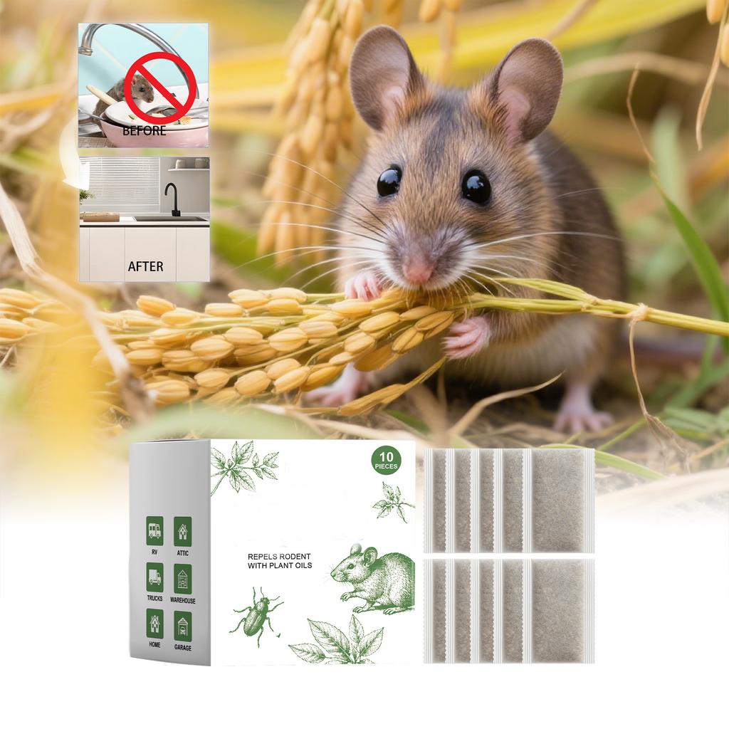 Für Zuhause - für den Innen- und Außenbereich, für Mäuse und Ratten