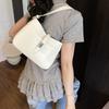 Niche Texture Handbag Women's Bag 2025 New Commuter Underarm Bag Simple and Versatile Messenger Method Mixed Bag