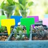 100PCS Waterproof Nursery Garden Plant Tags Thickened T-type Tags Stake Tags  Seedlings Tray