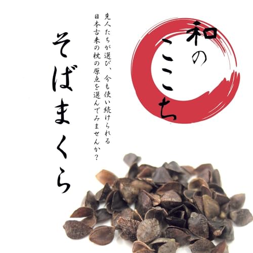 MORIPiLO (Morishita) Buckwheat Husk Pillow, Made in Japan, Firm (Japanese Comfort), Washable, Includes Pillowcase, 100% Cotton, Japanese Pattern, Heat