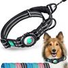 AirTag Dog Collar with Air Tag Holder, Martingale Air Tag Collar with Luminous Reflective, Comfortable, Durable, Adjustable Fit for Medium or Heavy