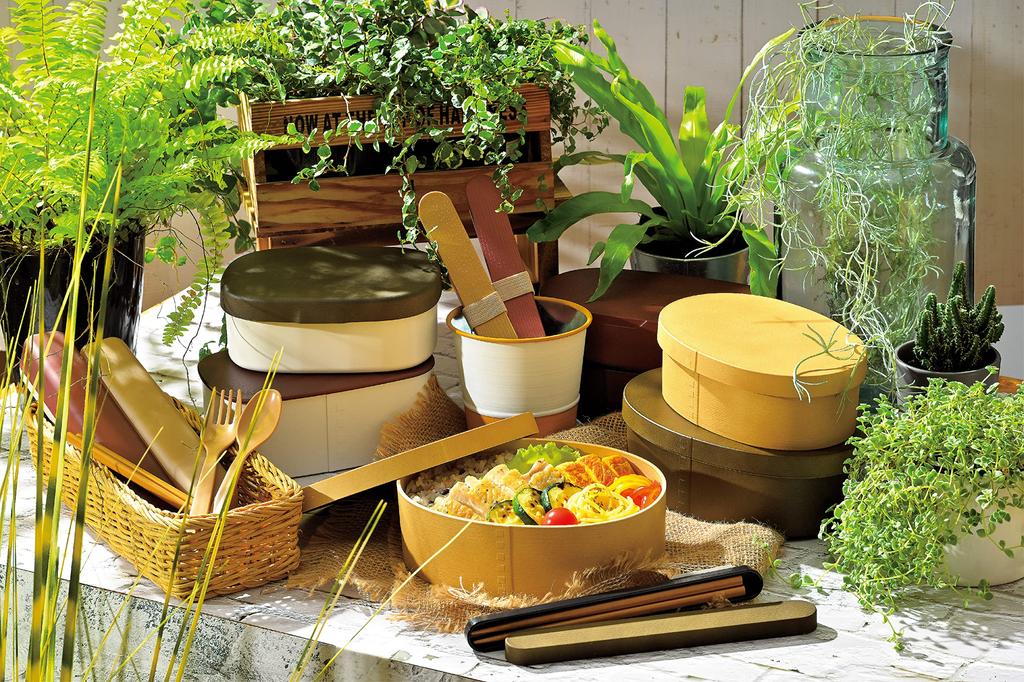 Tatsumiya Garden Magewappa Lunch Sand 30371 Single-Tier Box, Beige, Small,