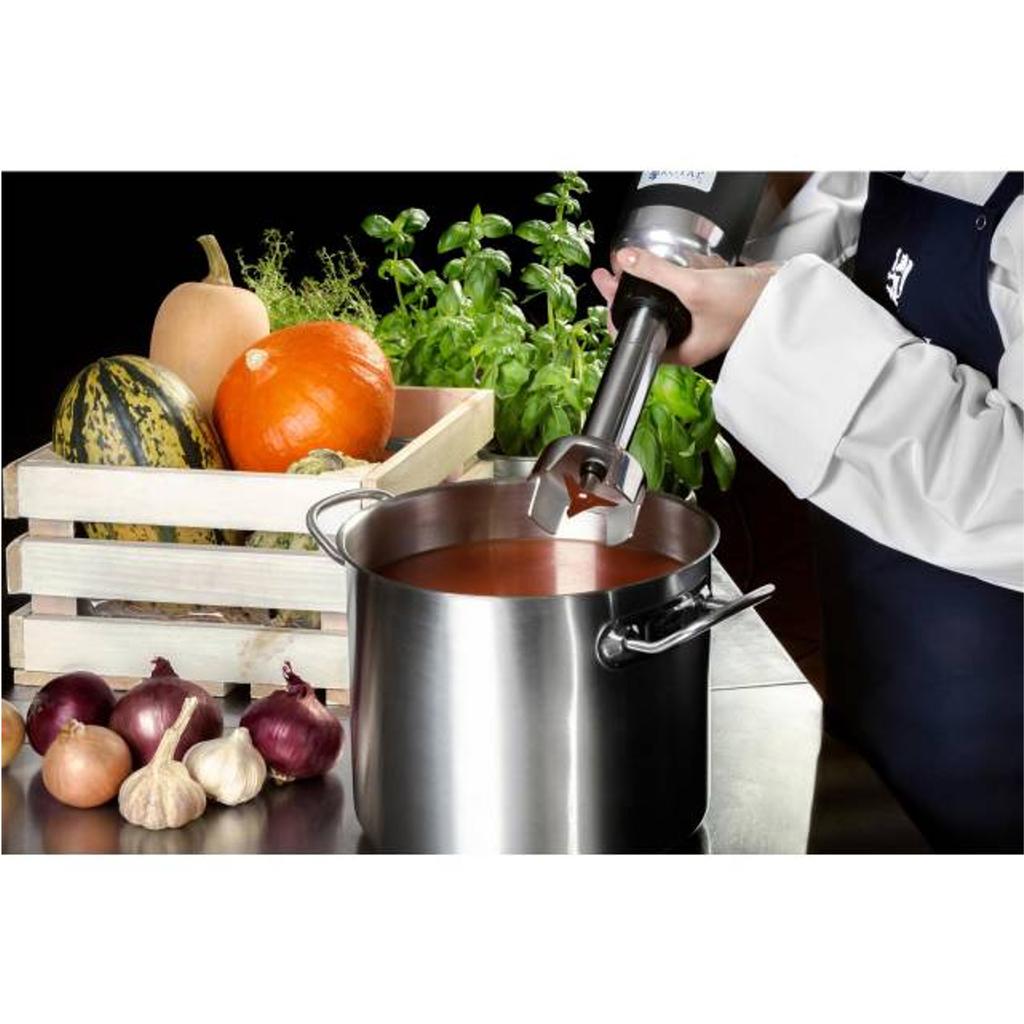 Powerful Mixer Blender Hand Robot Arm Length 250Mm 350W 230V Royal Catering