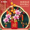 Senbao Building Blocks Persimmon Ruyi Tree Puzzle Assembled Building Blocks Spring Festival Lighting Music Box Gift