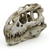 Reptielenterrarium Kweekbox Landschapsdecoratie Aquarium Ornamenten Benodigdheden