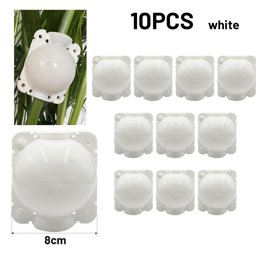 10 PCS Grafting Box Breeding Ball White/Transparent