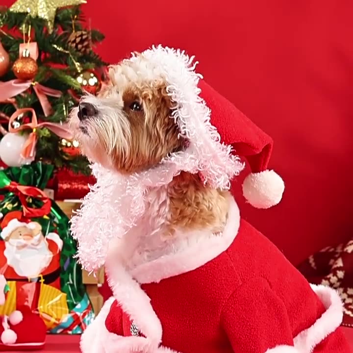Pet Christmas Costume Dog 3d Puffy Dress With Cute Hat Funny Party Dressup New Year'S Gift Adorable Pet Spotlight