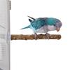 3lots Chewing Exercise Stick Pet Parrots Stand Solid Wood Standing Stick Poles Bird Cage Accessories Pet Toy