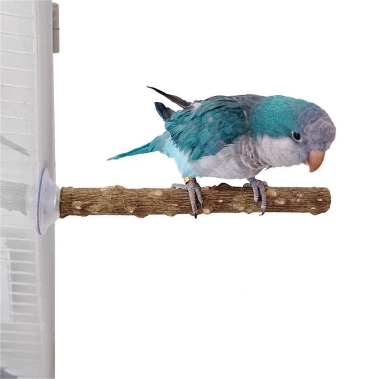 3lots Chewing Exercise Stick Pet Parrots Stand Solid Wood Standing Stick Poles Bird Cage Accessories Pet Toy