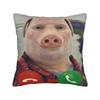 John Pork Calling  Square Pillow Covers Polyester Living Room  Cushion Case Funny Decor Throw Pillow Case 45*45