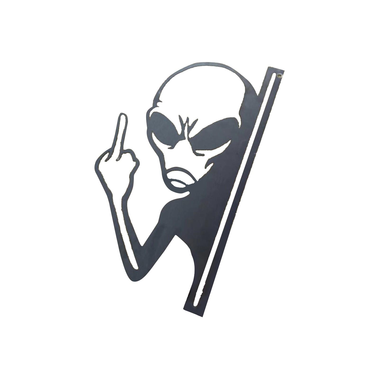 

Wrought Iron Plane Interesting Alien Decoration, Interesting Garden Decoration One Size