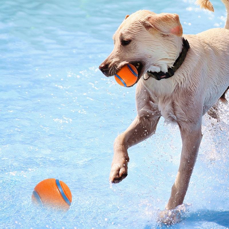 Indestructible Squeaky Ball Dog Toy Chew Resistant Bouncy Tennis Ball for Interactive Training Play for Aggressive Chewers