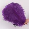 Colored Ostrich Feathers 30-35Cm Stage Performance Wedding Bouquet Decoration Ostrich Feathers