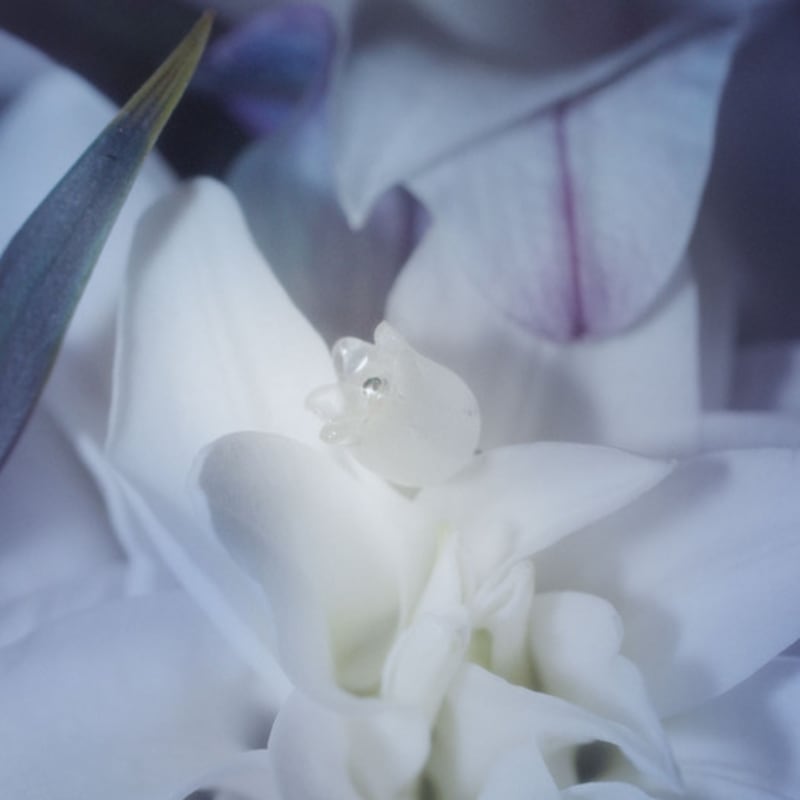 

tomorrowobject 23FW. misty night. earring 06 silver (not plated)