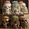 Skull Shaped Flower Pot Halloween Skull Pen Pencil Holder Skeleton Key Holder Makeup Brush Holder Home Office Desk Supplies