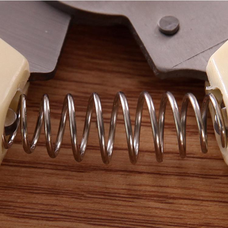 Stainless Steel Pruning Shears: Garden Scissors for Branches, Fruits, Flowers, and Grafting