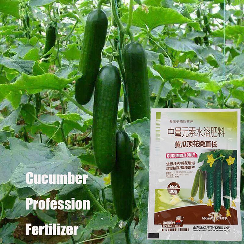 Okurka Profesní hnojivo pro zahradní rostliny Hnojivo pro podporu růstu plodin